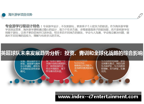 英超球队未来发展趋势分析:投资、青训和全球化战略的综合影响 英超球队未来发展趋势分析:投资、青训和全球化战略的综合影响