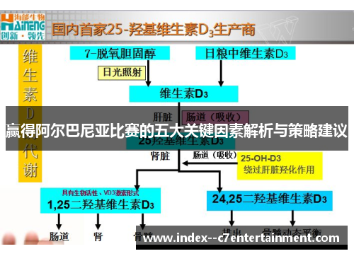 赢得阿尔巴尼亚比赛的五大关键因素解析与策略建议