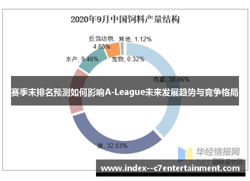 赛季末排名预测如何影响A-League未来发展趋势与竞争格局