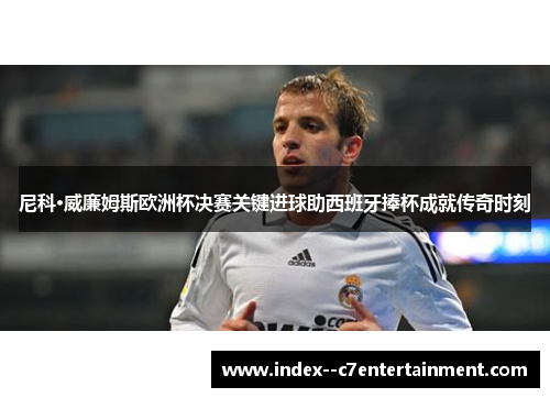 尼科·威廉姆斯欧洲杯决赛关键进球助西班牙捧杯成就传奇时刻
